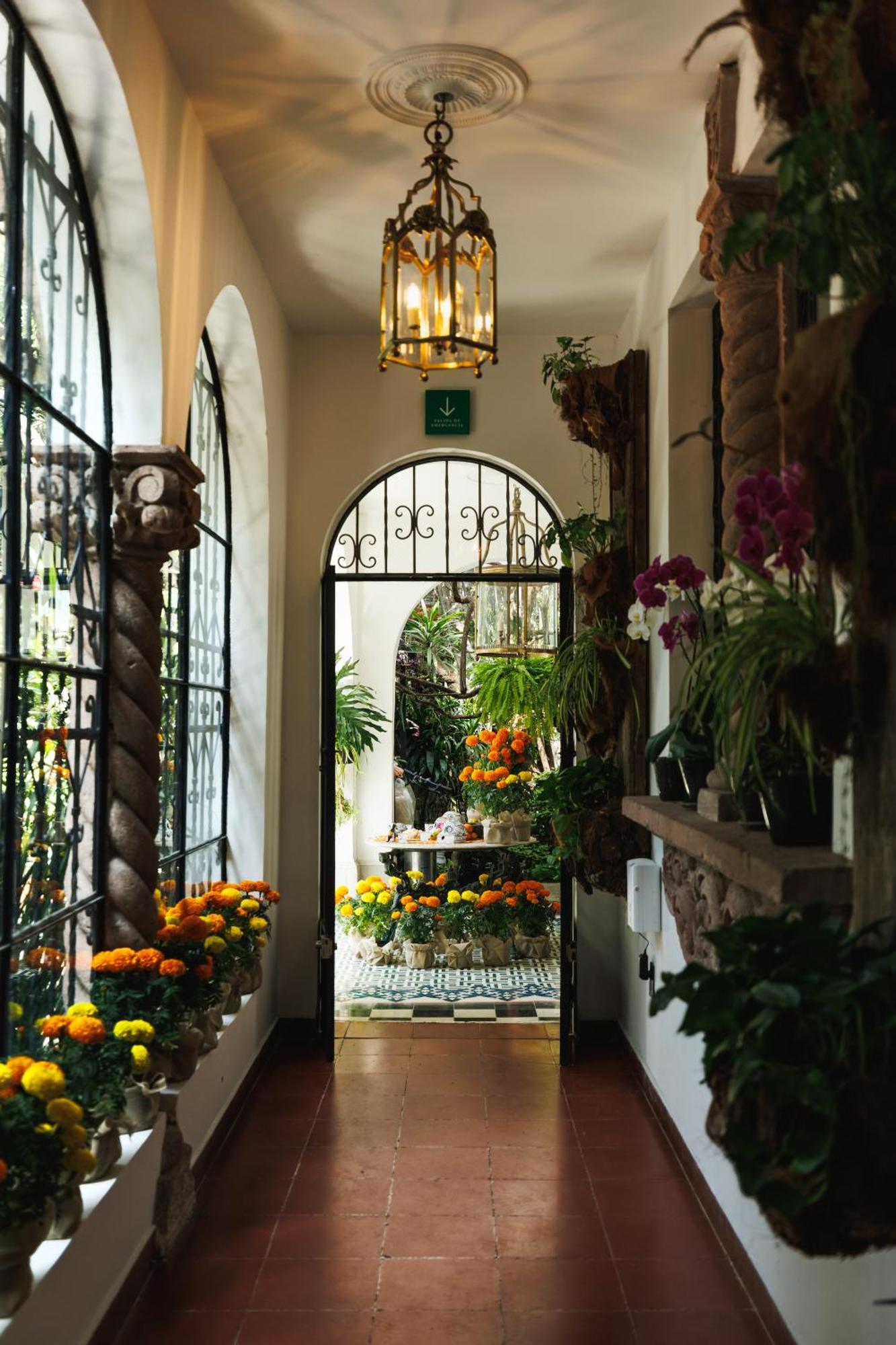 Orchid House Polanco Hotel Cidade do México Exterior foto